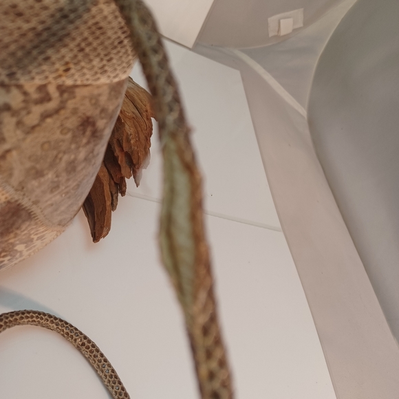 Vanessa handmade real snake skin hard shell clutch UNIQUE - Picture 5 of 5